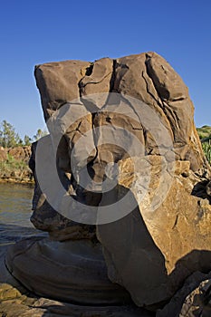 150 million years old Fossils photo